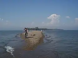 Point Pelee tip looking North, 2007