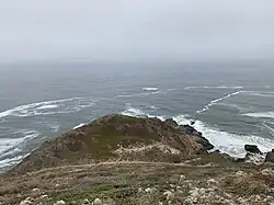 A rocky point with shrubs jutting out into the ocean on an overcast day