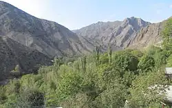 Pomegranate orchards in rocky terrain