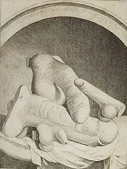 Elegant eighteenth-century engraving of a pile of dildos in dramatically different sizes.