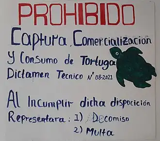 A notice in Bluefields, Nicaragua in 2023 indicating that the capturing and consuming of turtles is prohibited