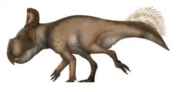 Protoceratops andrewsi