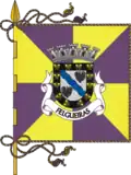 Flag of Felgueiras