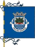 Flag of Golegã