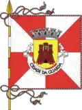 Flag of District of Guarda