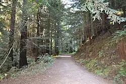 Another view of the trail