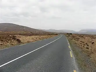 R255 at Ballybuninabber - geograph.org.uk - 1806004.jpg