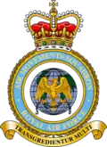 Heraldic badge of the Air Movements Squadron RAF.