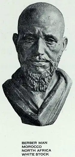 Berber man of "Western Hamitic type"