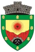 Coat of arms of Baia de Aramă