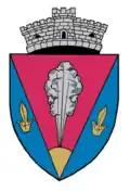 Coat of arms of Bârghiș