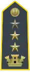 Lieutenant-Colonel, acting Colonel (Senior Lieutenant Colonel)
