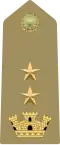 Italian Army (Tenente colonnello)