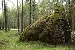 Stone of Raudalu, natural heritage monument