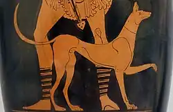 A dog oriented to the right, his shoulder reaches to the knee of the man behind him.