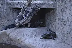 Reptilarium du Larzac, France