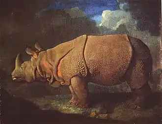 Rhinoceros (ca. 1780–91), oil on canvas, 69.9 x 92.7&nbsp;cm., private collection