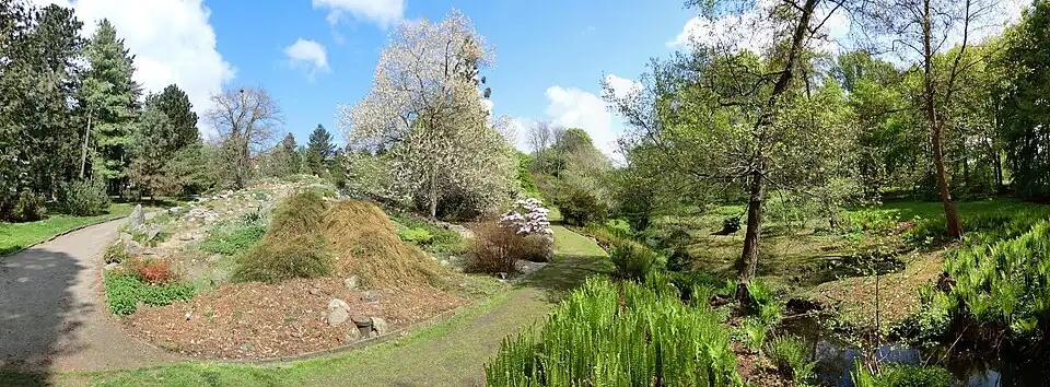 Botanical Garden of Rostock University.