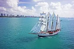 Royal Albatross under full sail