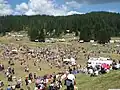 Overview of the Rozhen Meadows crowded with people during the fair