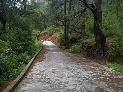 Road to Christ statue