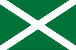 Flag of the Federal Customs Service of Russia (1994)