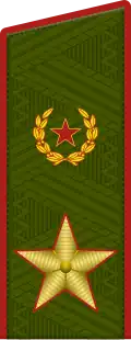 Генера́л а́рмии General armii (Russian Ground Forces)[21]