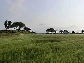 Agricultural area in Sømna