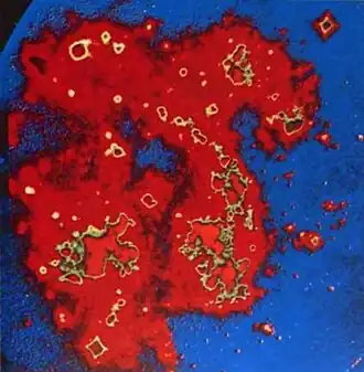 Color-enhanced UV photo of the Large Magellanic Cloud, taken from the lunar surface