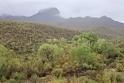Clouds shroud Elephant Butte in the Spur Cross Ranch Conservation Area.