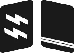 SS Gorget patches