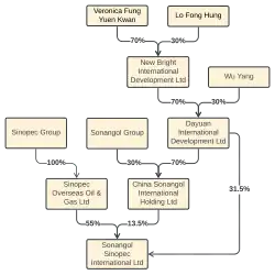 In 2004, Sonangol Sinopec International is owned by three groups. The first and majority shareholder with 55% is Sinopec Overseas Oil and Gas Limited, which is 100% owned by Sinopec Group. The larger minority holder of SSI is Dayuan International Development Limited with 31.5%. Dayuan, in turn, is owned 30% by Wu Yang and 70% by New Bright International Development Limited, which in turn is owned by Veronica Fung Yuen Kwan with 70% and Lo Fong Hung with 30%. The final shareholder with 13.5% of SSI is China Sonangol International Holding Limited, which is 70% owned by Dayuan and 30% by the Sonangol Group.