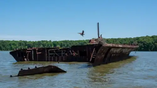 Stern view of a shipwreck with an osprey about to land on a nest the wreck