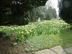 The churchyard of St. George's, West Grinstead