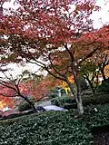 Sakurayama Park in autumn