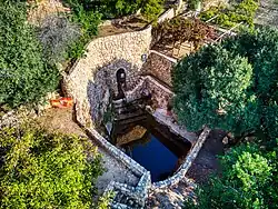 Ein Bikura (Ein E-Sharkia), 2022