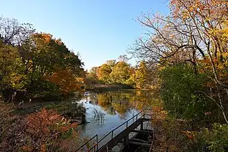 A pond with some yellow trees in the background, and various metal structures in the foreground