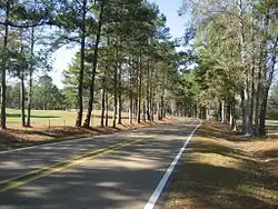 A scenic stretch of Highway 598 in Sanford