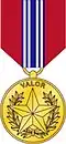 Secretary of the Army Award for Valor