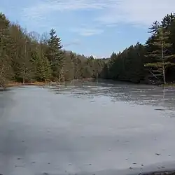 Thumbnail image of Seneca Lake in Seneca State Forest