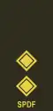 Lieutenant (Seychelles Infantry Unit)[68]