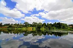Bank of Shimsha River as seen from Vaidyanatheshwara Temple