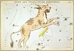 Plate 8: Lynx and Telescopium Herschilii