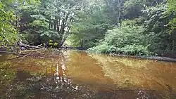 Downstream from the little falls, Simpson Park, Framingham