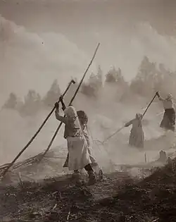 Slashing-and-burning in Eno, Finland, in 1893