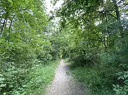 A hiking and horse trail runs along parts of the perimeter of the lake.