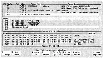 Sniffer packet display