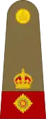 Lieutenant-Colonel
