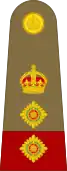 Colonel