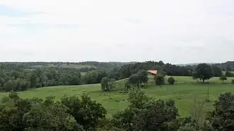 Hillside in Madison County